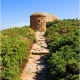 vigie des douniers chemin des douaniers ploumanac'h